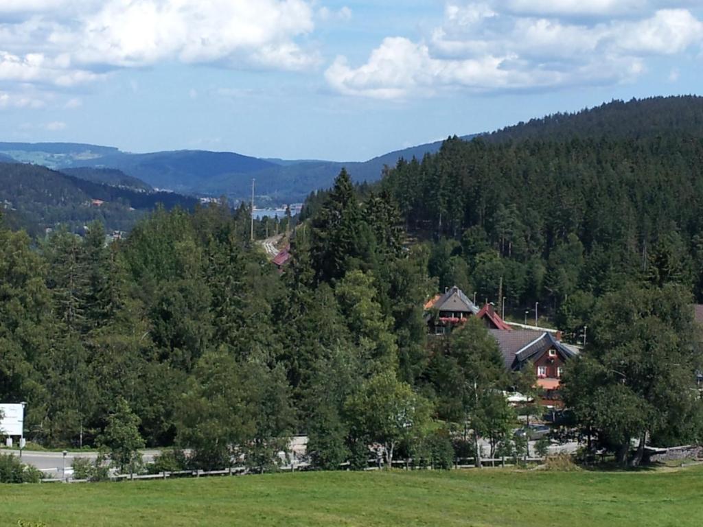 Apartmán Schwarzwald-Chalet Feldberg Feldberg  Exteriér fotografie